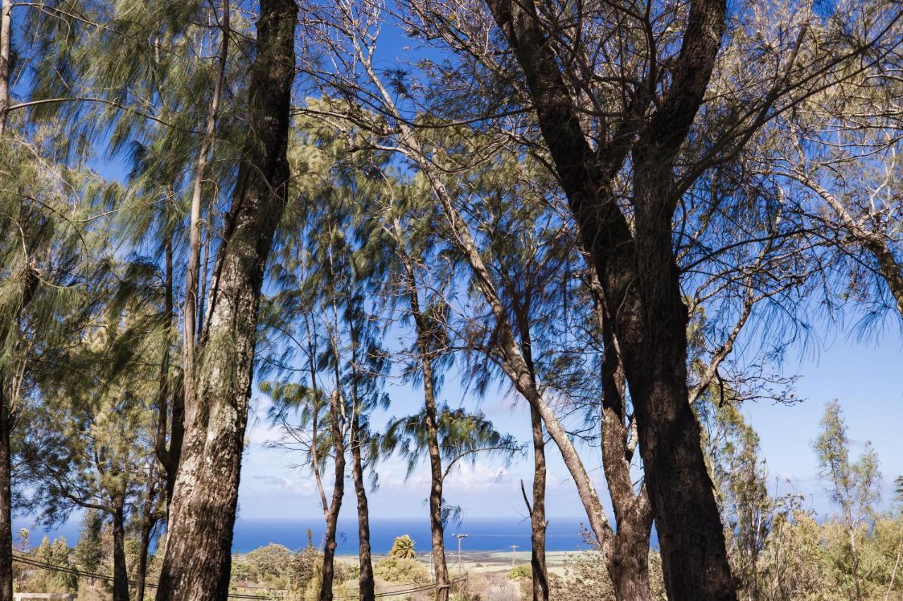 Makawao Lumeria Maui, Educational Retreat Center מראה חיצוני תמונה
